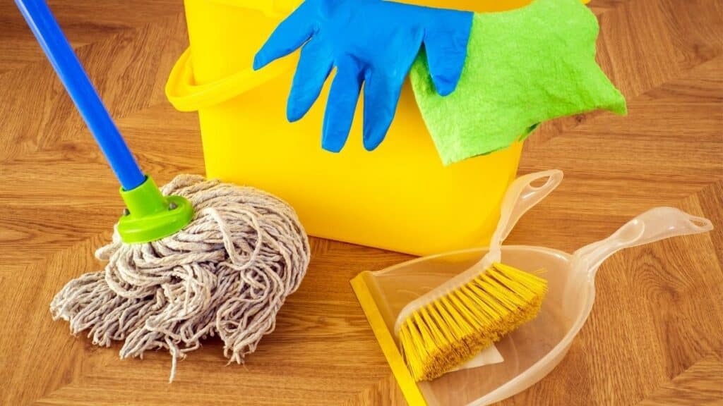 What Should a Nashville Cleaner Look at Before Recommending Your First Service?
